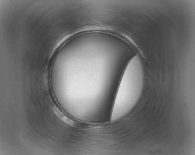 X0000082151460200701191011
