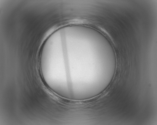 X0000082151467200701191011