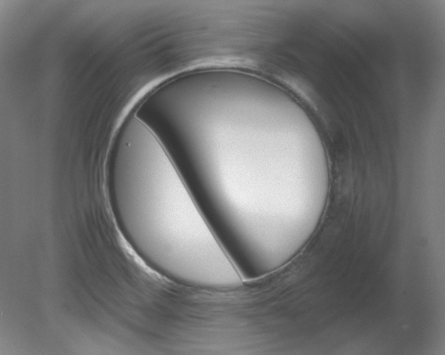 X0000082151468200701191011