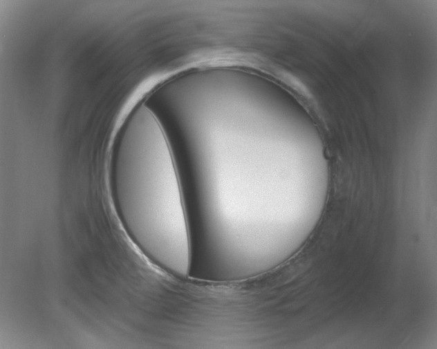X0000082151472200701191011
