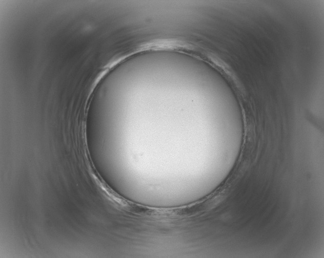 X0000082151473200701191011