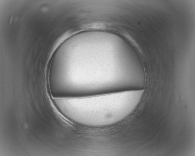 X0000082151475200701191011