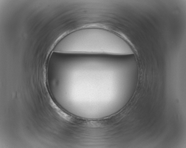 X0000082151476200701191011
