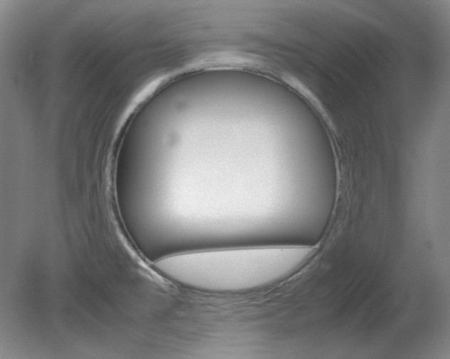X0000082151477200701191011