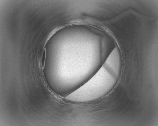 X0000082151481200701191011