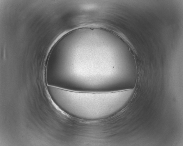X0000082151484200701191011