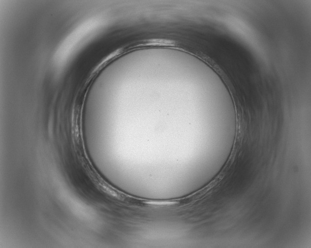 X0000082151487200701191011