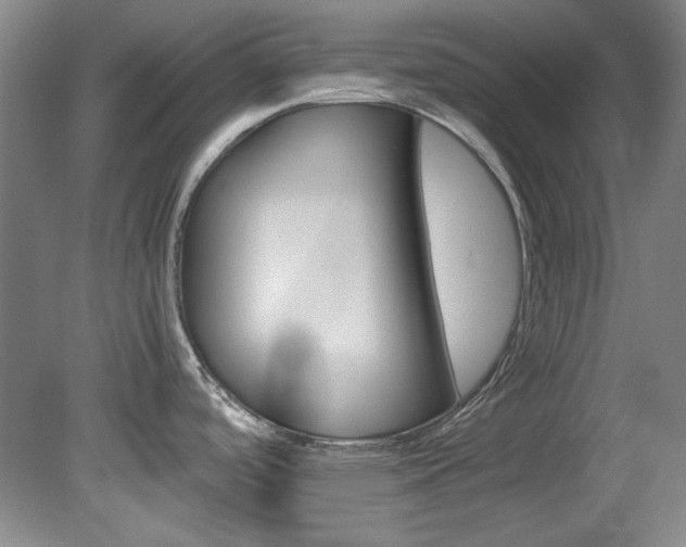 X0000082151488200701191010