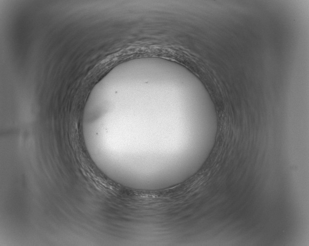 X0000082151489200701191010