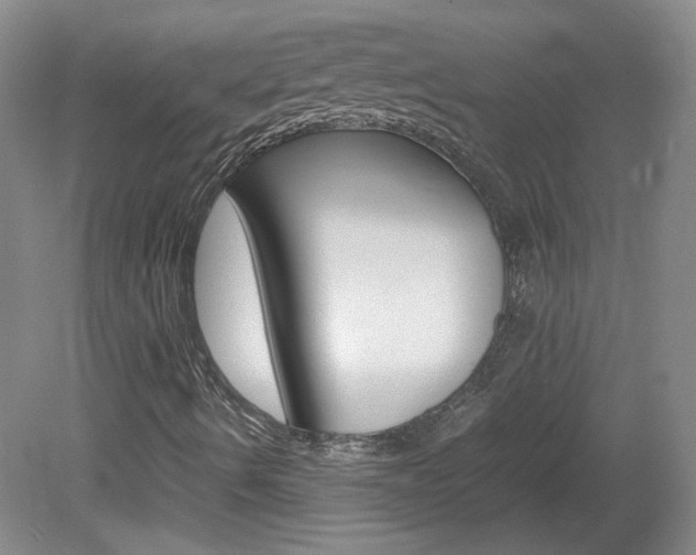 X0000082151490200701191010