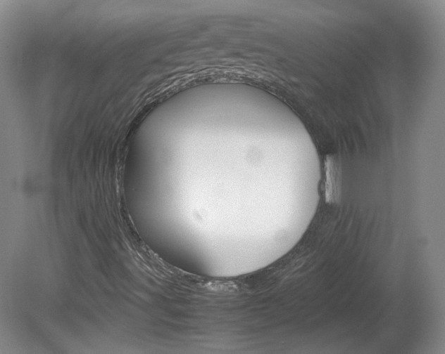 X0000082151491200701191010