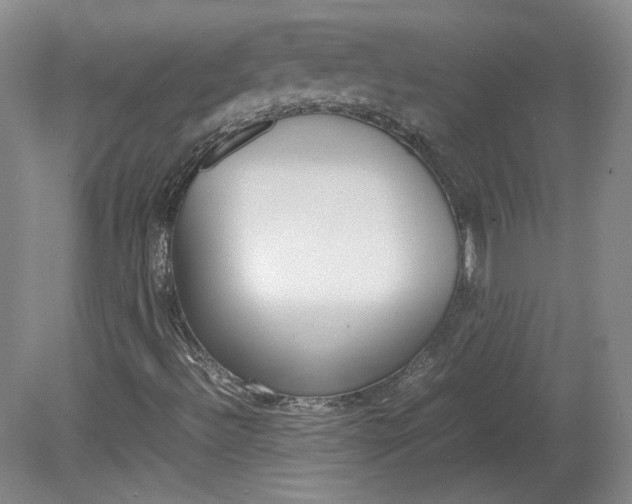 X0000082151492200701191010