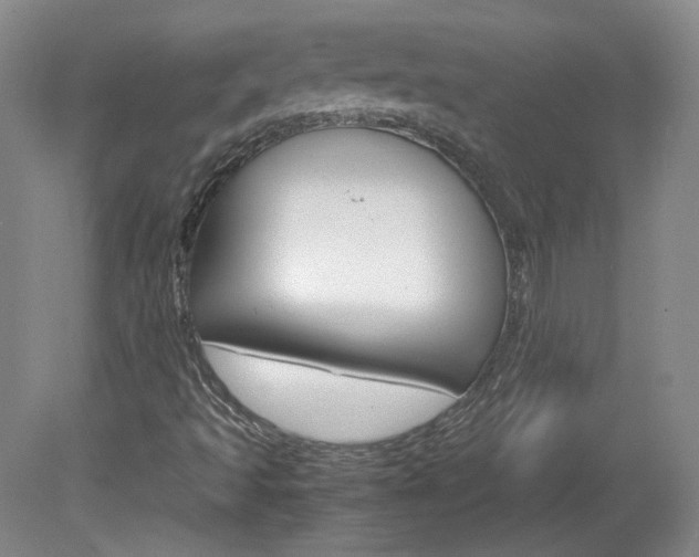 X0000082151493200701191010
