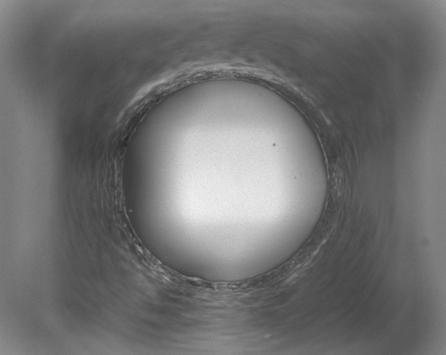 X0000082151494200701191010
