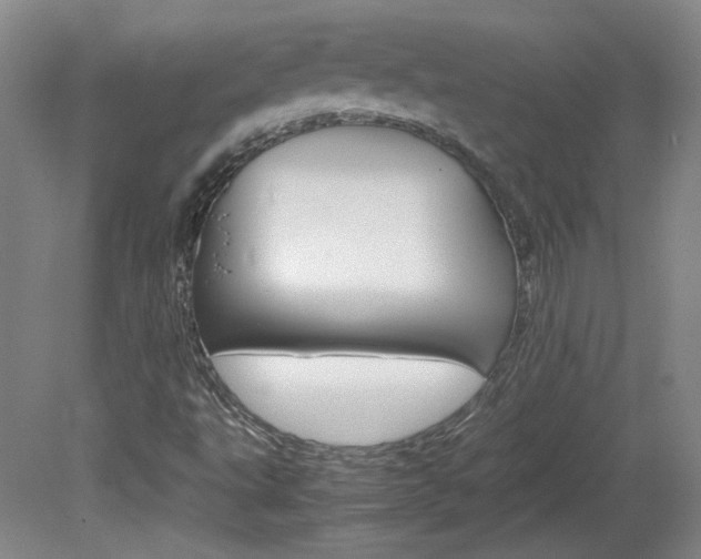 X0000082151495200701191010