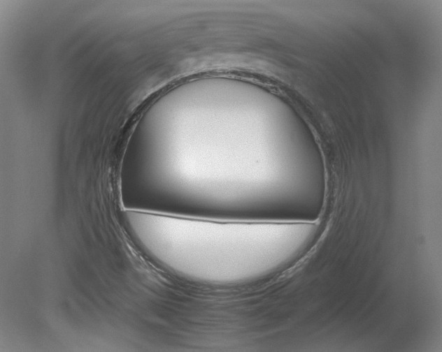 X0000082151497200701191010