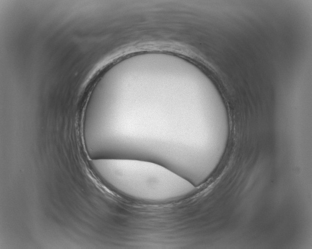 X0000082151498200701191010