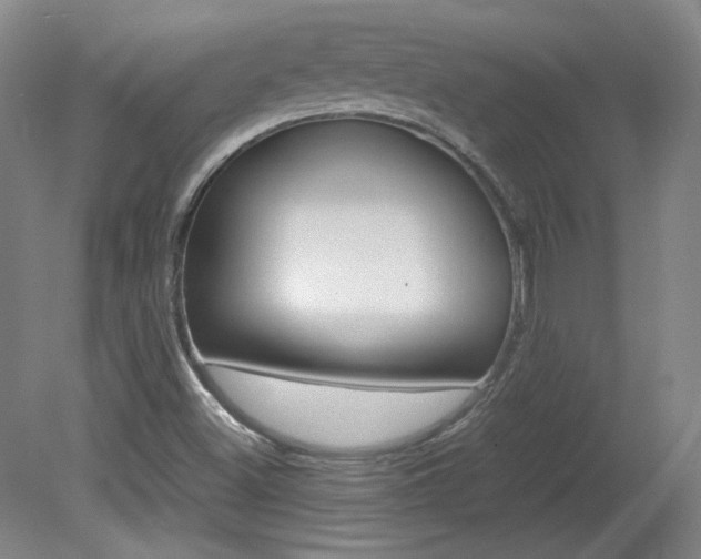 X0000082151500200701191010