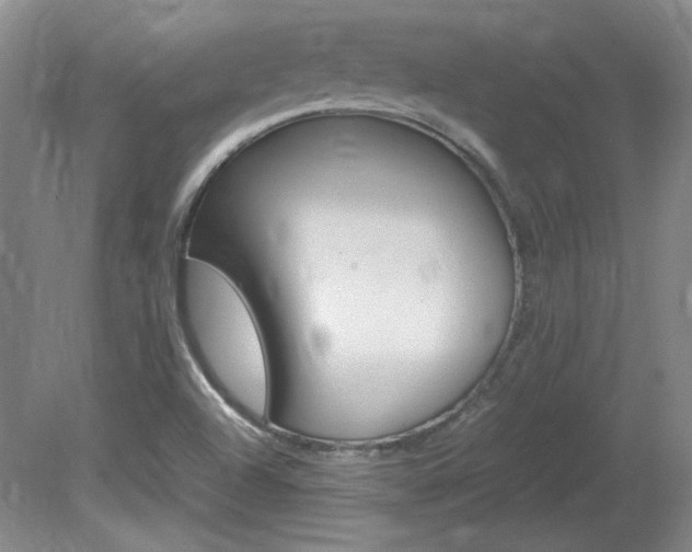 X0000082151504200701191010