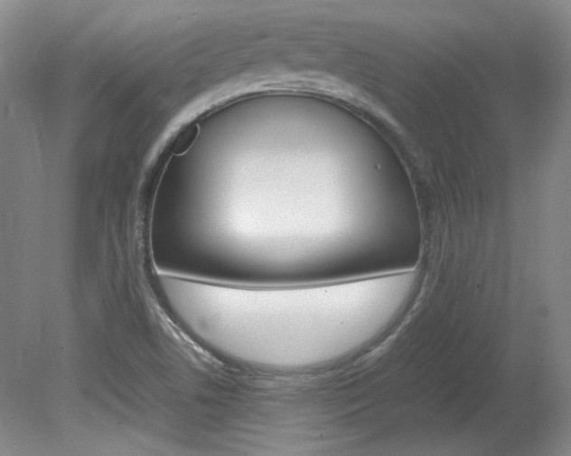 X0000082151506200701191010