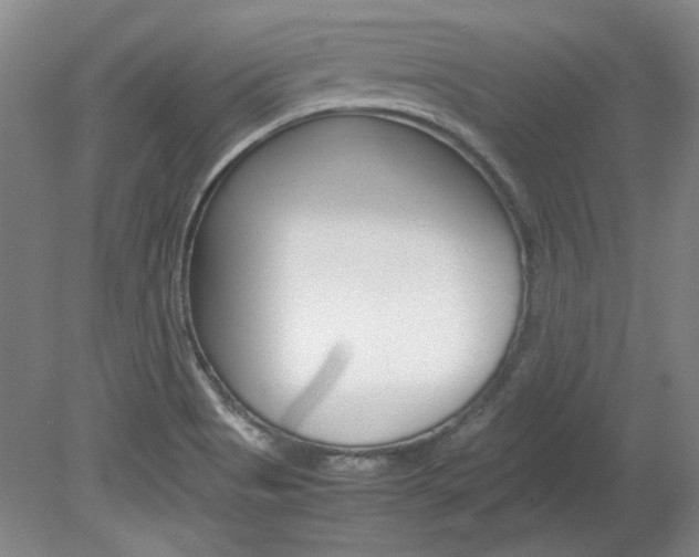 X0000082151513200701191010