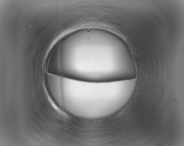 X0000082151515200701191010