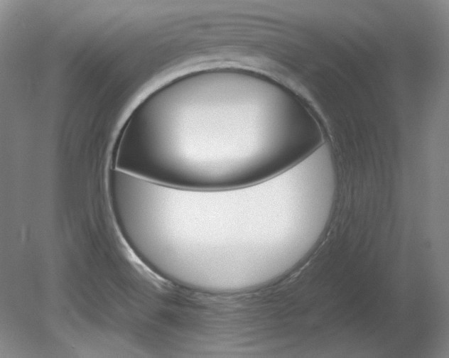 X0000082151516200701191010