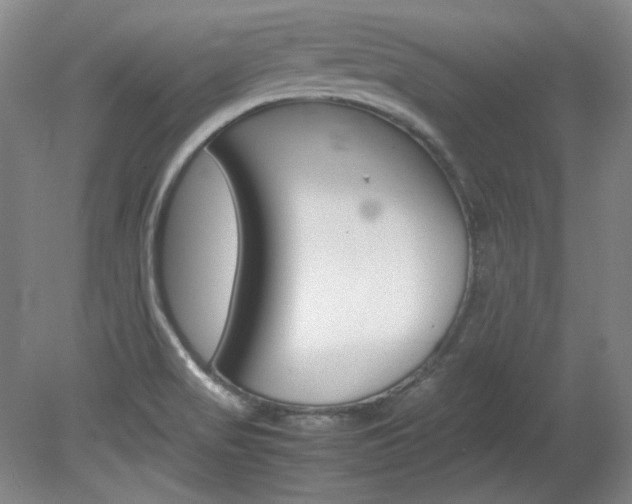 X0000082151517200701191010