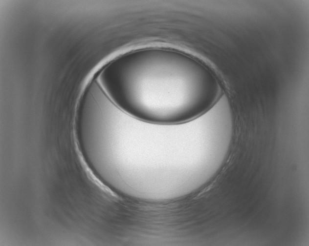 X0000082151518200701191010