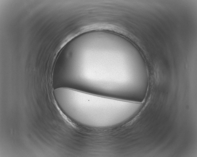 X0000082151521200701191010