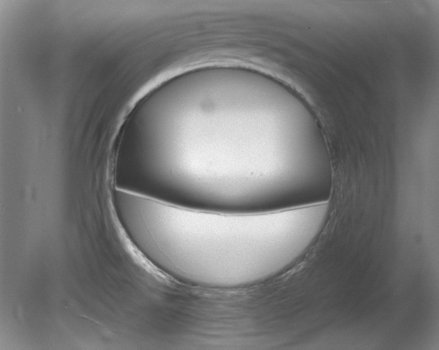 X0000082151526200701191010
