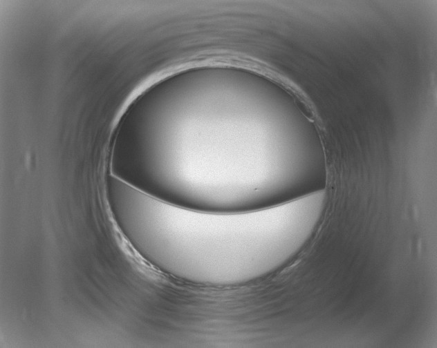 X0000082151530200701191010