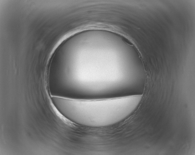 X0000082151531200701191010