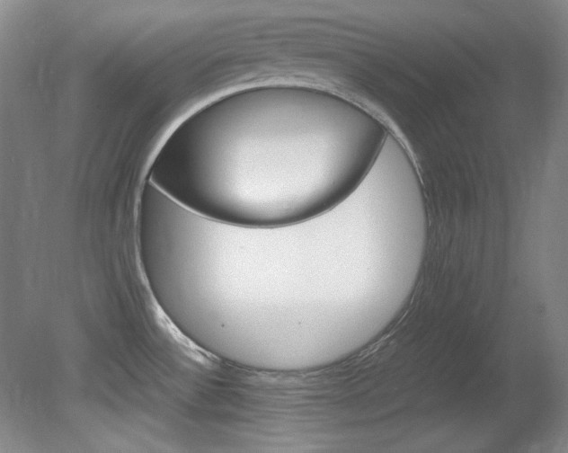 X0000082151532200701191010