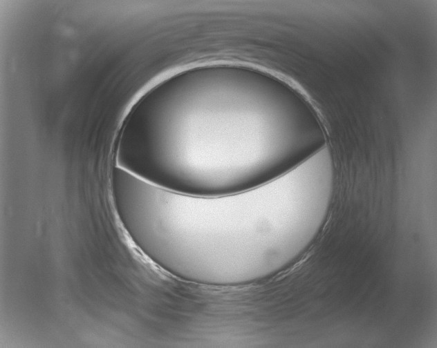 X0000082151534200701191010