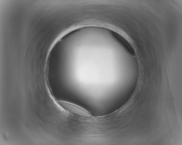 X0000082151536200701191010
