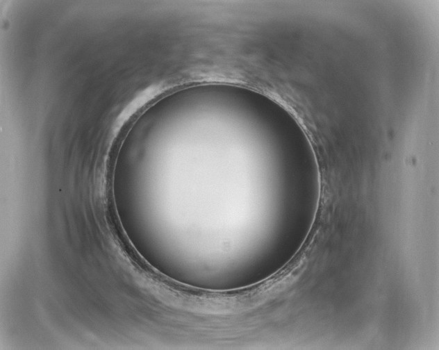 X0000082150008200701191221