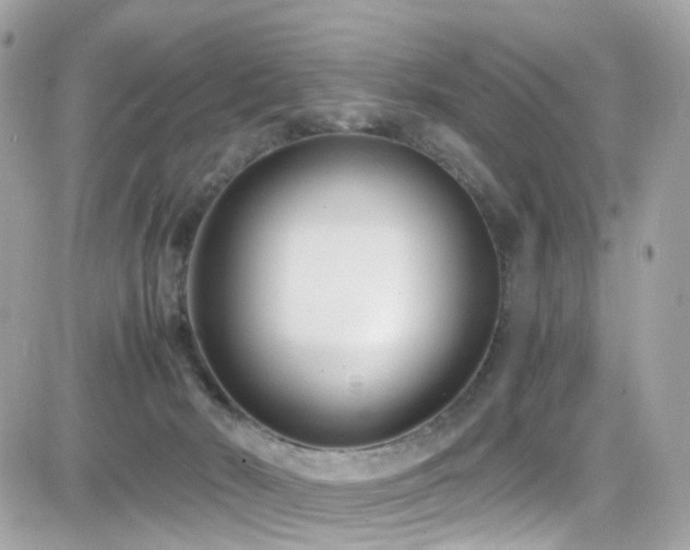 X0000082150030200701191220