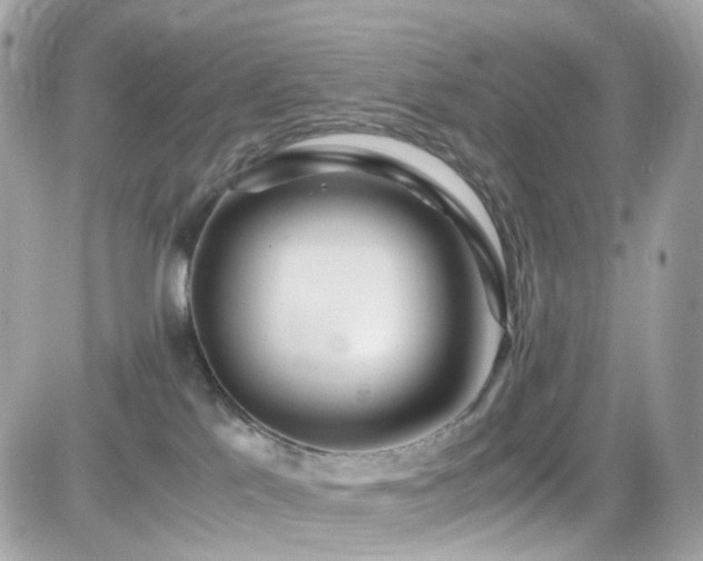 X0000082150041200701191220