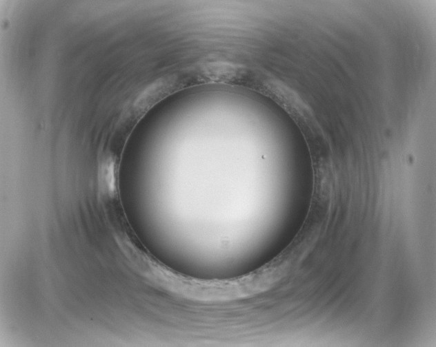 X0000082150042200701191220