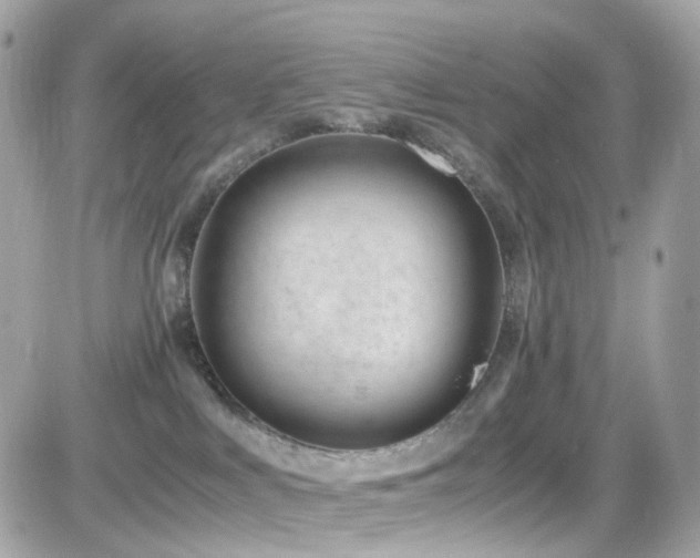 X0000082150043200701191220
