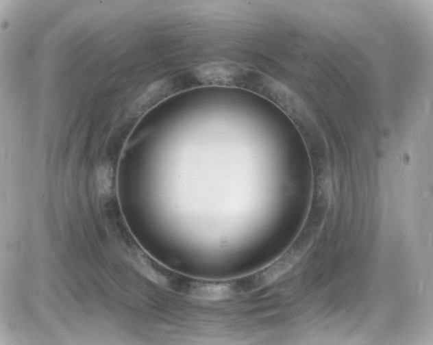 X0000082150081200701191220