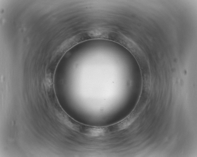 X0000082150085200701191220