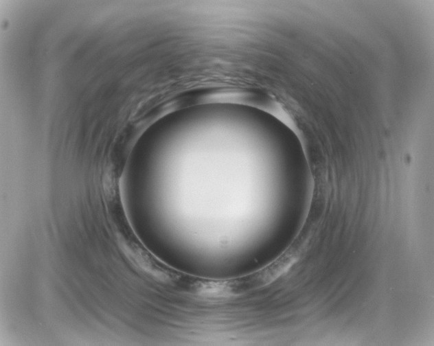 X0000082150088200701191220