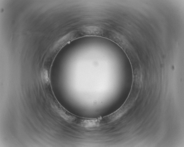 X0000082150089200701191220