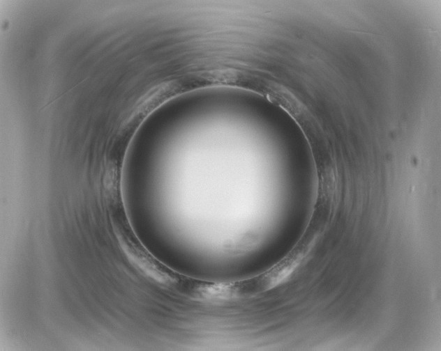 X0000082150092200701191220