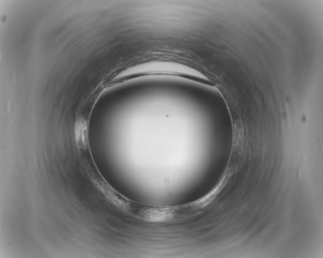 X0000082150094200701191220