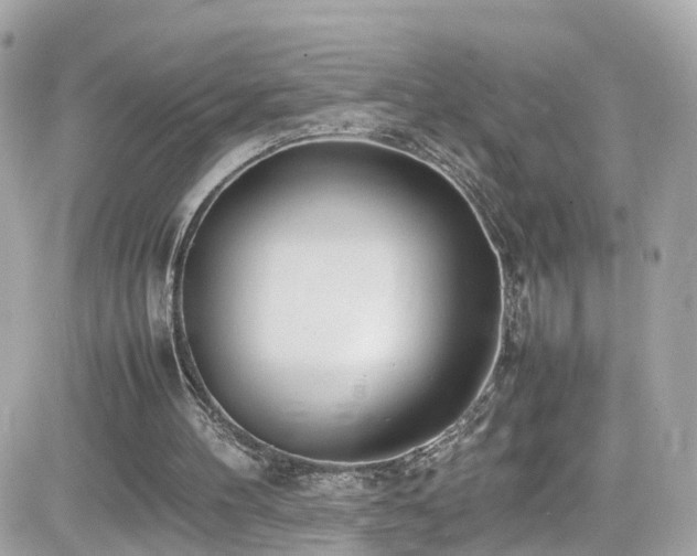 X0000082150100200701191219