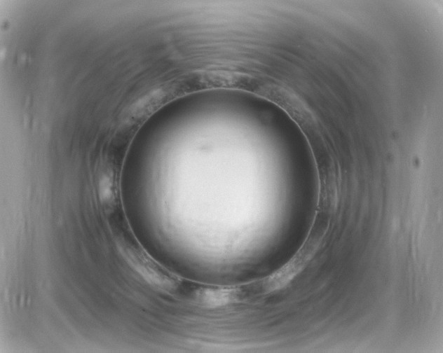 X0000082150134200701191219