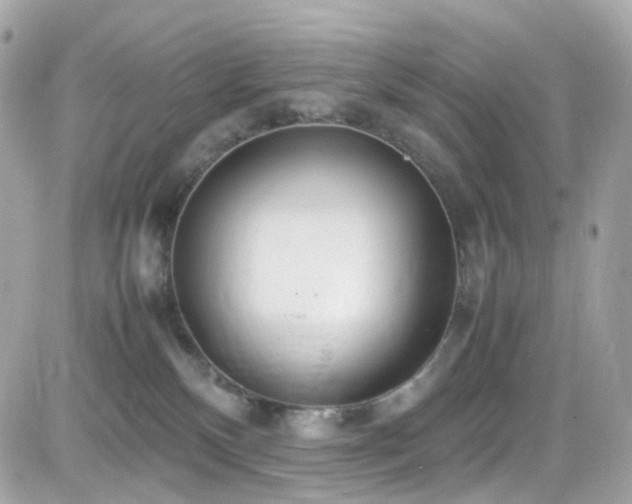 X0000082150136200701191218